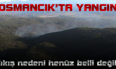 Osmancık’ta Orman Yangını
