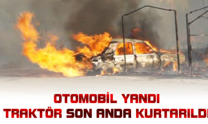 Boş Arazide Yangın