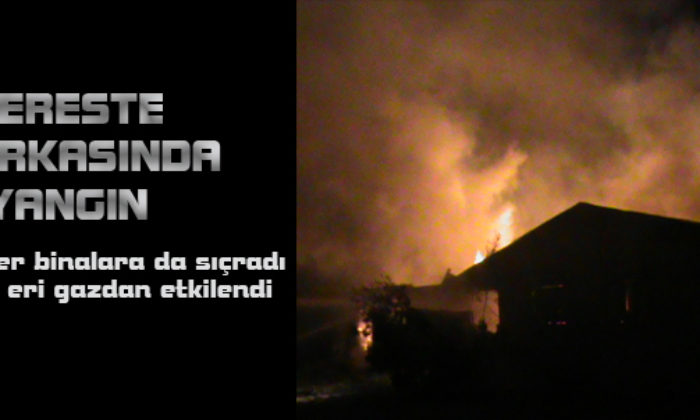 Kereste Fabrikasında Yangın