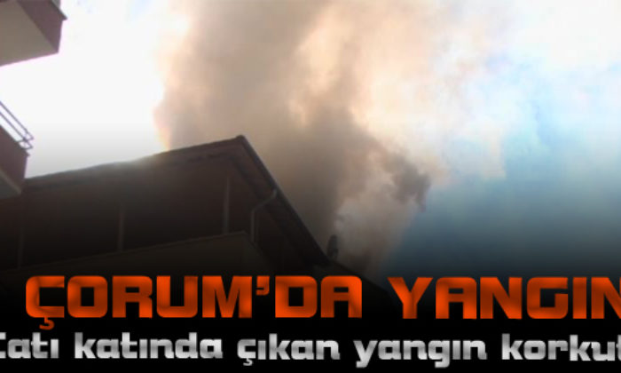 7 Katlı Apartmanın Çatı Katında Yangın Çıktı