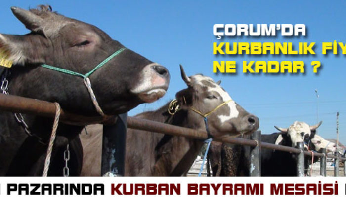 Kurbanlıklar Pazara İndi