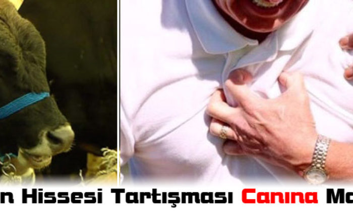 Hayvan Pazarlığı Canından Etti
