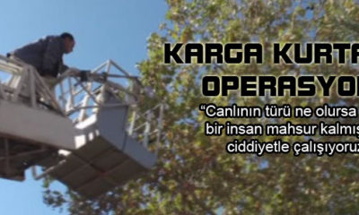 Karga Kurtarma Operasyonu
