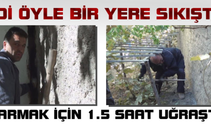 Kedi Öyle Bir Yere Sıkıştı Ki