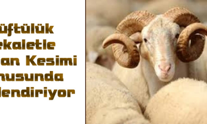 Vekaletle Kurban Kesim Standı