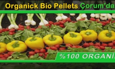 Organik Bio Pellets Gübre Artık Çorum’da