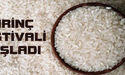 Pirinç Festivali Başladı