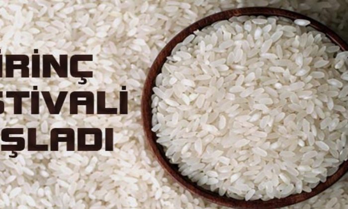 Pirinç Festivali Başladı