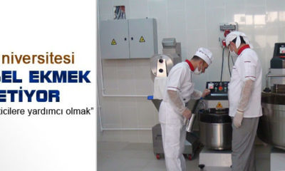 Hitit Üniversitesi Kendi Ekmeğini Üretiyor