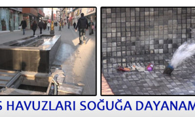 Süs Havuzları Soğuğa Dayanamadı