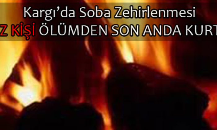 İki Ayrı Aileden Dokuz Kişi Sobadan Zehirlendi