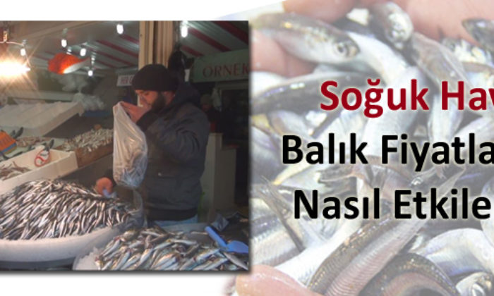 Soğuk Hava Balık Fiyatlarını Etkiledi