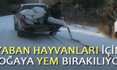 Çorum’da Kış Döneminde Doğaya Dokuz Ton Yem Bırakılacak