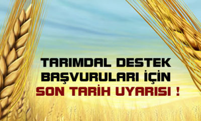 Tarımsal Destekler