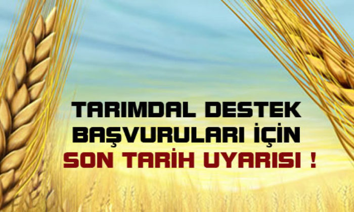 Tarımsal Destekler