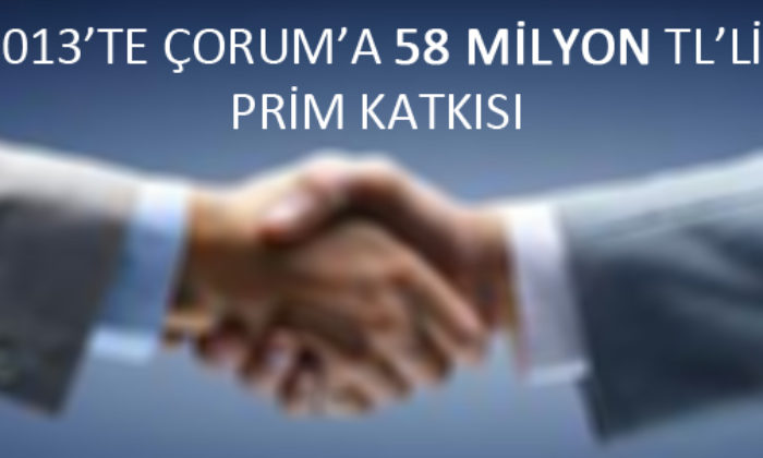 Çorum’a Teşvik Katkısı