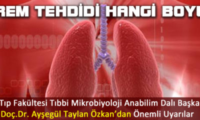 Verem Tehdidi Hangi Boyutta ?