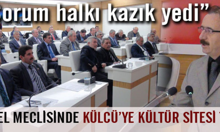 İl Genel Meclisi: Çorum Halkı Kazık Yedi