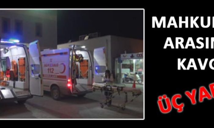 Mahkumlar Arasında Kavga