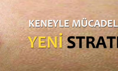 Keneyle Mücadelede Yeni Strateji