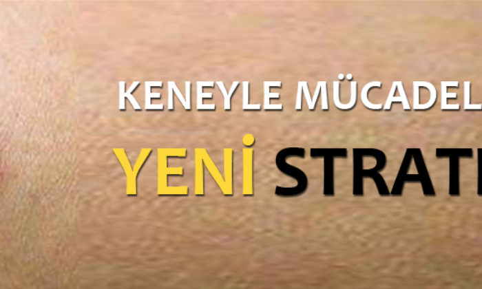 Keneyle Mücadelede Yeni Strateji