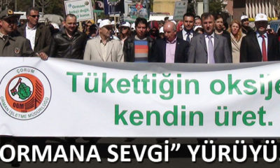 Dünya Ormancılık Günü