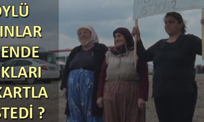 Törene Damga Vuran Pankartlı İstek