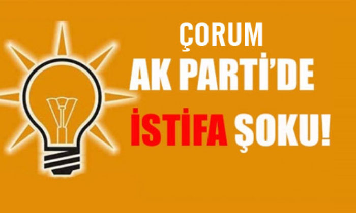 “Şahsıma Seçim Süreci ve Sonrasında ‘Teşkilatı Tıkayan İnsan’ Muamelesi Yapıldı