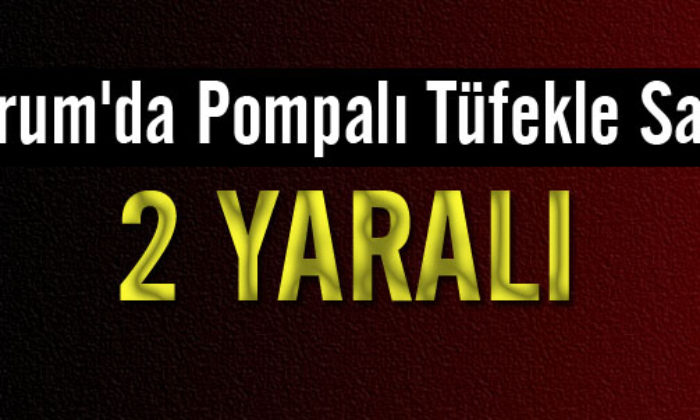 Otomobile Açılan Ateş Sonucu İki Kişi Yaralandı