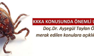 Kırım Kongo Kanamalı Ateşi Hastalığı Nedir, Nasıl Bulaşır ?