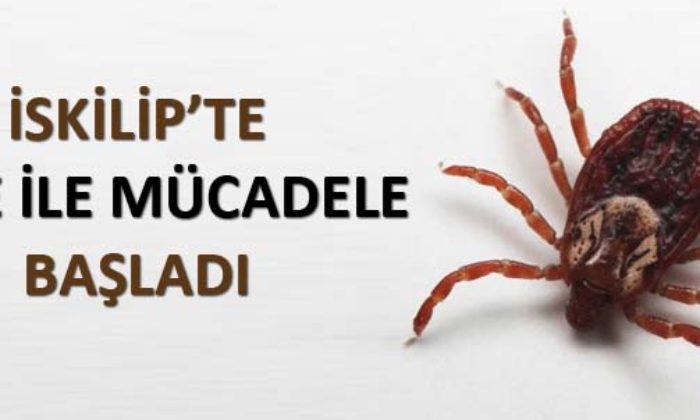 İskilip’te Keneyle Mücadele
