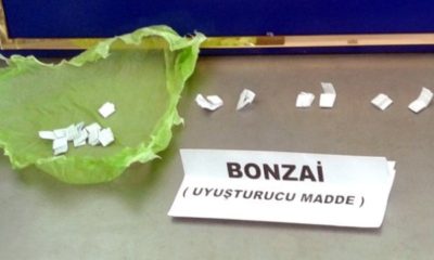 Jandarma’dan ‘Bonzai’ Operasyonu