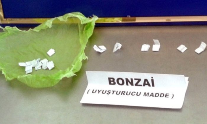 Jandarma’dan ‘Bonzai’ Operasyonu