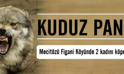 Mecitözü Figani Köyü’nde İki Kadını Köpek Isırdı