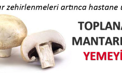 “Toplanan Mantarları Yemeyin!”