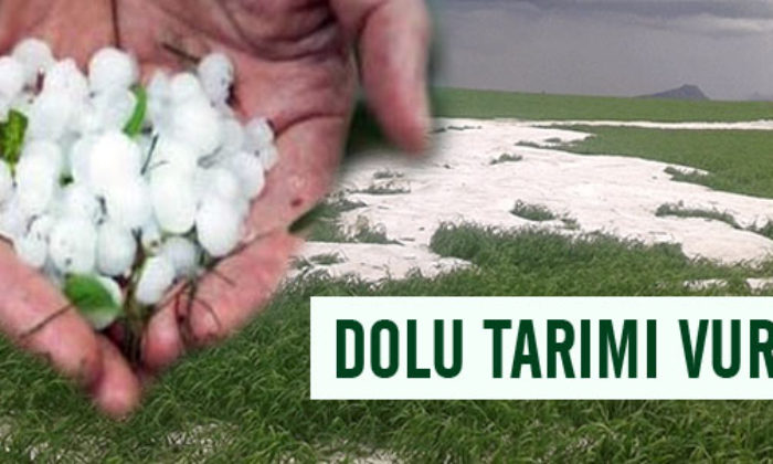 Doğal Afetlerin Çorum Bilançosu