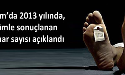 İntihar İstatistikleri