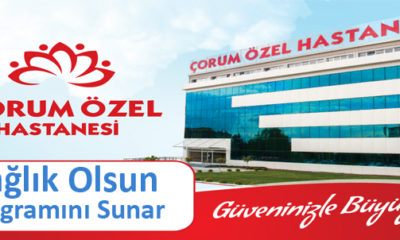 Anne Sütünün Yararları