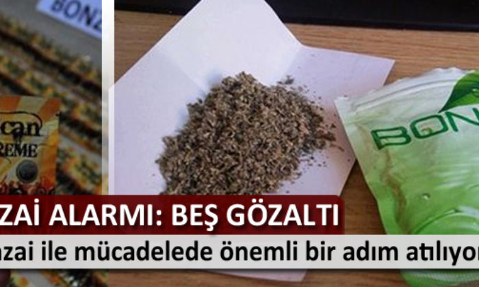 Bonzai Operasyonu: Beş Gözaltı