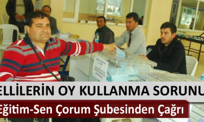 Türk Eğitim-Sen’in Gündeminde Engellerin Oy Kullanma Sorunu Var