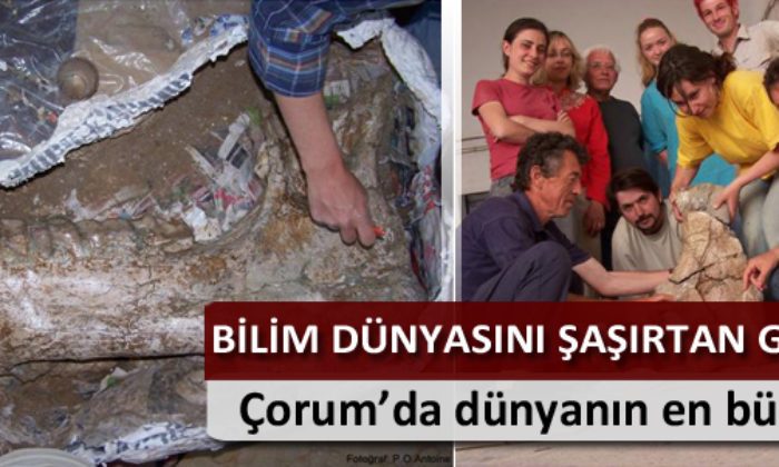 Çorum’da Bilim Dünyasını Şaşırtan Gelişme