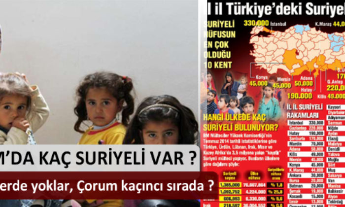 Bakanlıktan Türkiye’deki Suriyeli Açıklaması