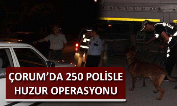 Emniyet Müdürü Tarancı’dan Operasyon