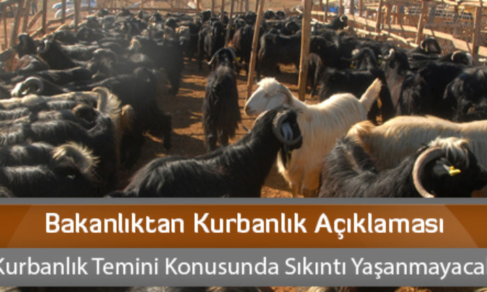 Bakanlıktan Kurbanlık Açıklaması