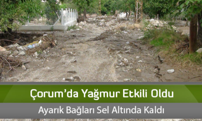 Çorum’da Yağmur Etkili Oldu