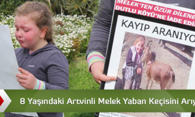 Çarli’yi Arayan Küçük Kız