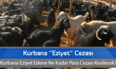Kurbana ”Eziyet” Cezası