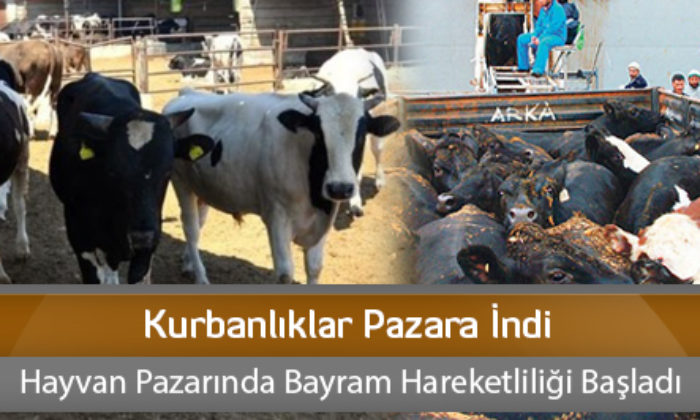 Kurbanlıklar Pazara İndi