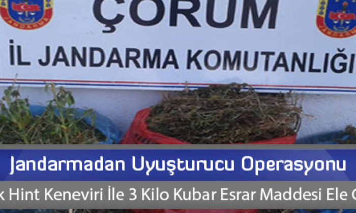 Jandarmadan Uyuşturucu Operasyonu