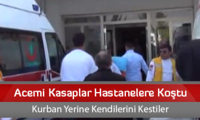 Acemi Kasaplar Hastanelere Koştu